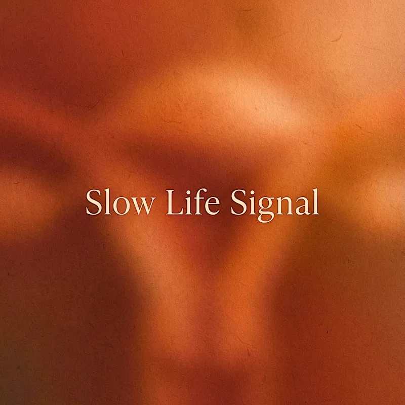 Capa de Slow Life Signal